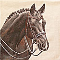 2020-008